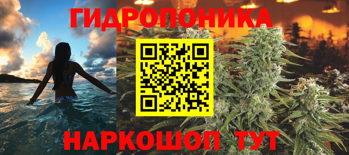 Бошки марихуана семена  Конопля планчик  Бошки Шишки планчик  Марихуана гибрид  Лиски  Вход с VPN 
